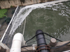 رصد حالات اختبار مياه النهر السوداء والكريهة الرائحة في نينغده
