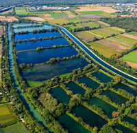 مراقبة جودة مياه الاستزراع المائي