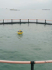 Probest PB -060-AY مراقبة جودة مياه بحيرة العوامة مراقبة جودة المياه في الوقت الحقيقي لدرجة الحرارة والأس الهيدروجيني والموصلية والأكسجين المذاب والعكارة.