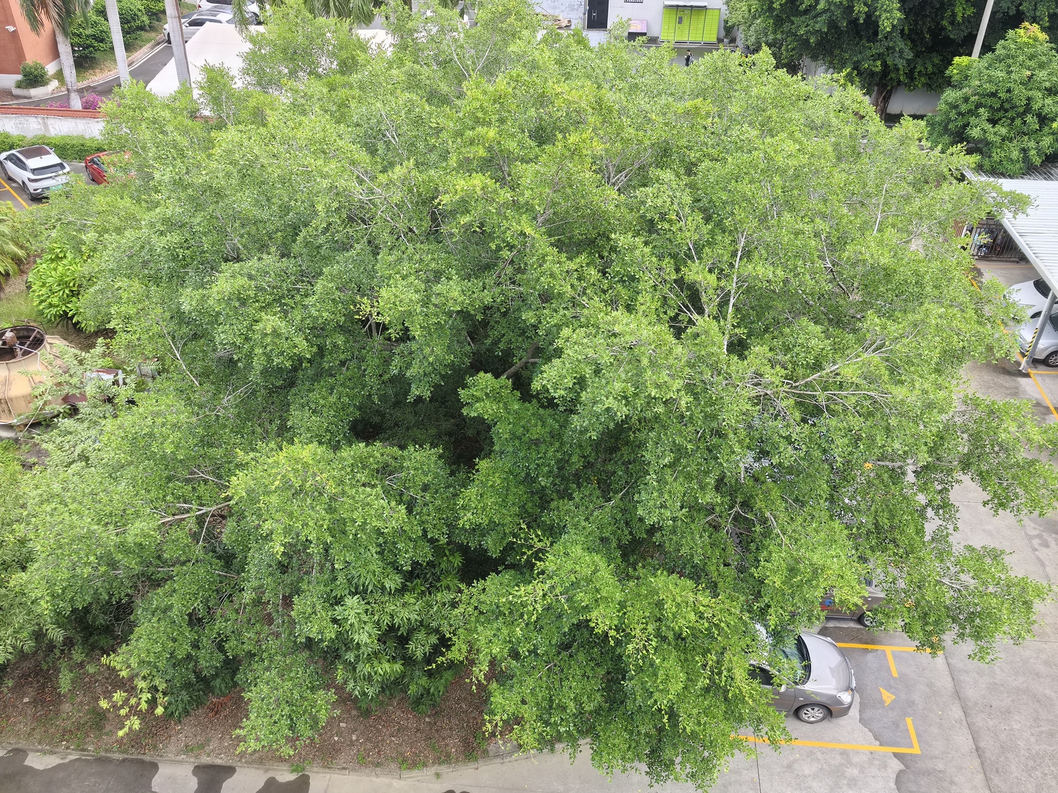 Probest بيئة الشركة المصنعة لجهاز استشعار المياه